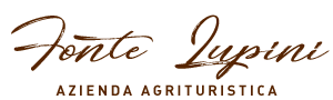 Logo Ristorante Connubio L'Aquila